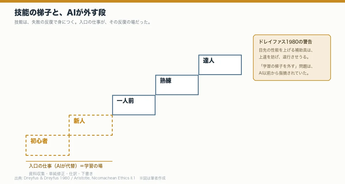技能習得の五段階を階段で描き、下の二段がAIに置き換わっている図。入口の仕事が学習の場だったことを示す。