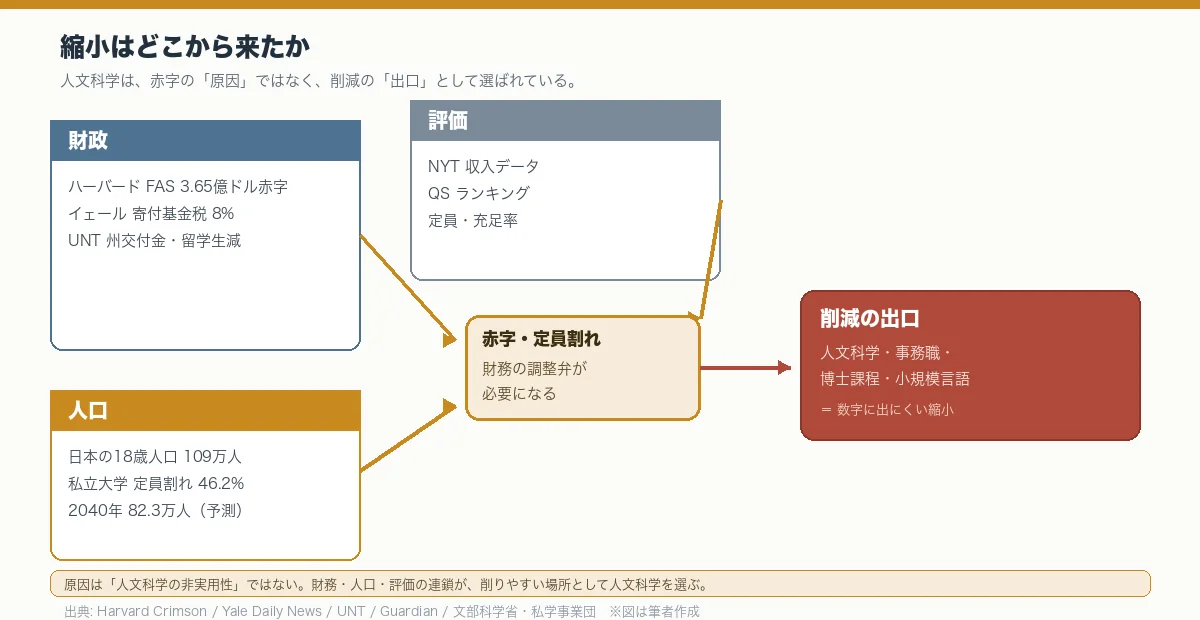 大学の縮小が、財政・人口・評価という三つの原因から生じ、人文科学がその出口として選ばれることを示す因果図。